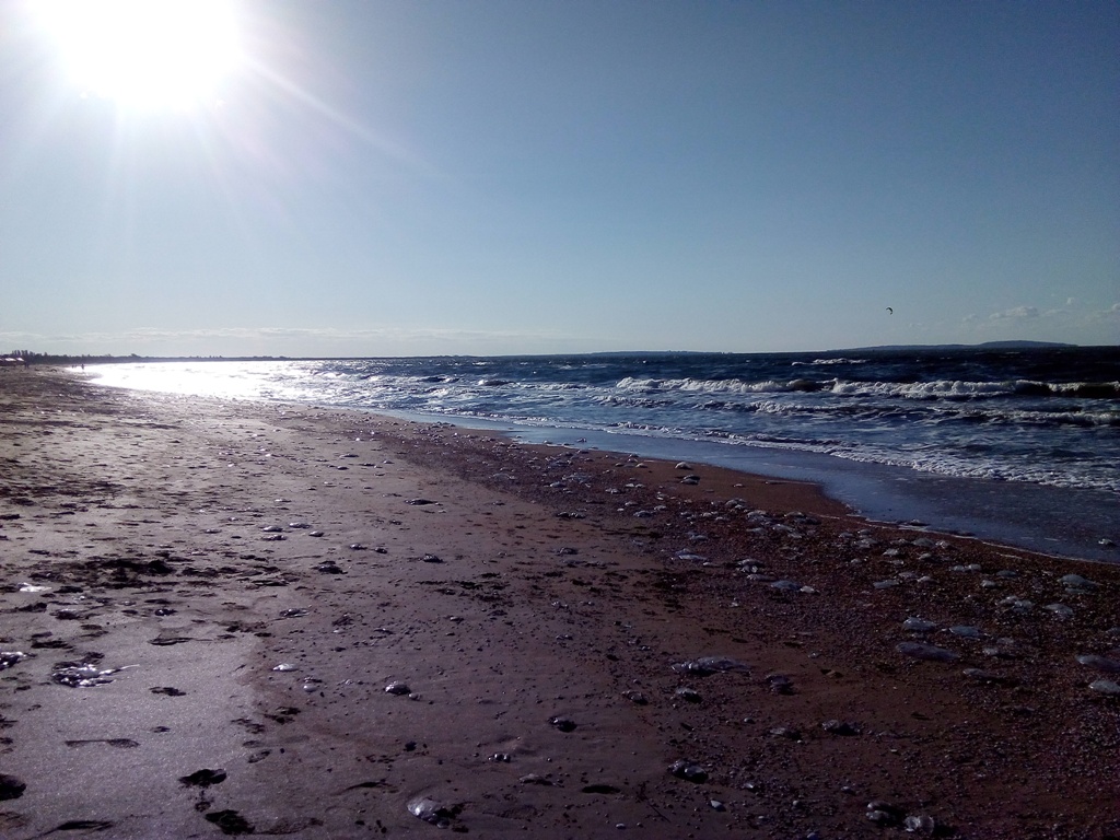 4.09. Sea 6.jpg
